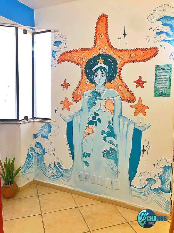 Chamos Hostel Cultural Arraial do Cabo Dış mekan fotoğraf